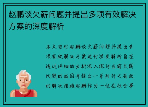 赵鹏谈欠薪问题并提出多项有效解决方案的深度解析