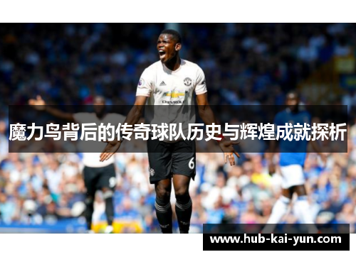 魔力鸟背后的传奇球队历史与辉煌成就探析 魔力鸟背后的传奇球队历史与辉煌成就探析